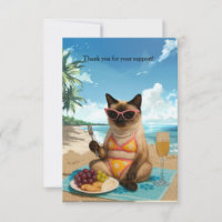O gato está na praia