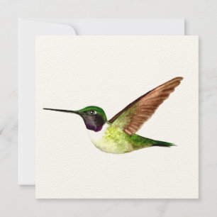 Cartão De Agradecimento O Hummingbird de Anna no Voo