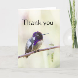 Cartão De Agradecimento O Hummingbird de Costa empoleirado em um galho