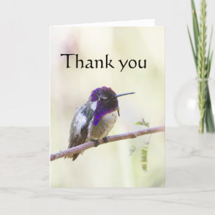 Cartão De Agradecimento O Hummingbird de Costa empoleirado em um galho