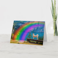 O Poema da Ponte do Arco-Íris, em memória de um Pe