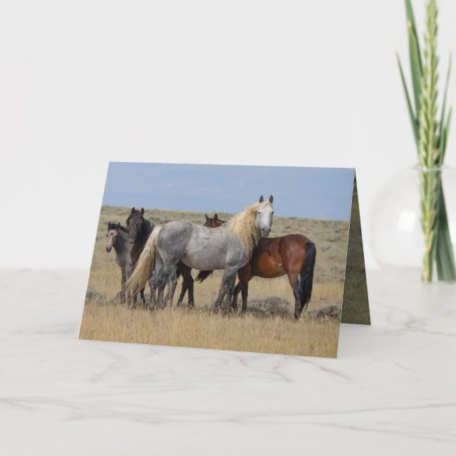 Cartão De Agradecimento O Stallion De Cinzas Selvagens Protege A Sua Carte (Frente)