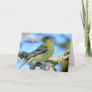 Cartão De Agradecimento Obrigado