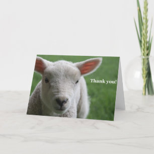 Cartão De Agradecimento Obrigado!