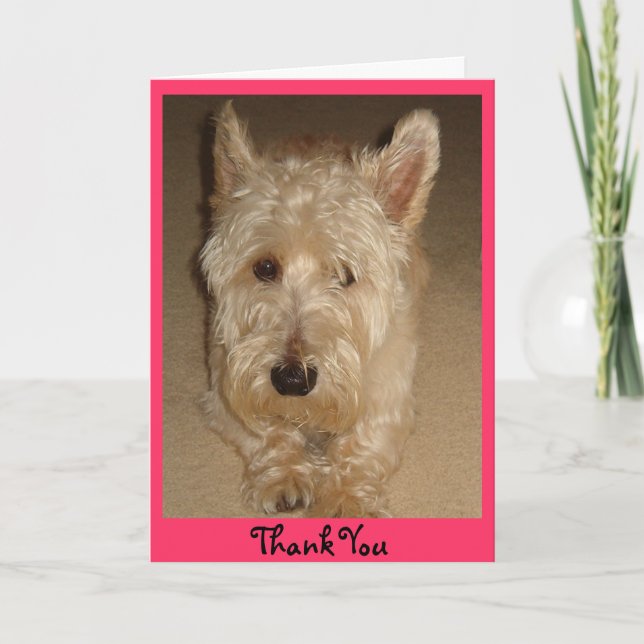 Cartão De Agradecimento Obrigado (Frente)