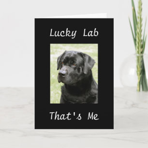 CARTÃO DE AGRADECIMENTO ***OBRIGADO***