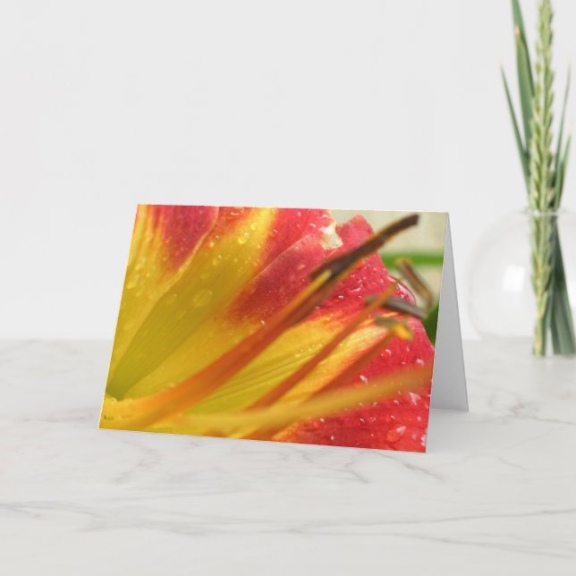 Cartão De Agradecimento Obrigado (Frente)