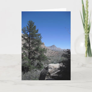 Cartão De Agradecimento Obrigado a Sailor, Vegas 09 274