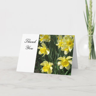 Cartão De Agradecimento Obrigado amarelo das flores dos Daffodils você