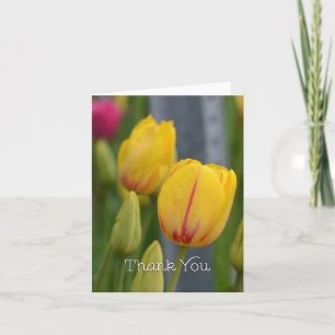 Cartão De Agradecimento Obrigado amarelo e vermelho das tulipas você
