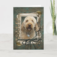 Obrigado - as patas de pedra - GoldenDoodle