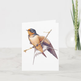 Cartão De Agradecimento Obrigado - Barn Swallow