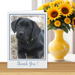 Cartão De Agradecimento Obrigado Black Labrador - Cachorro Bonito<br><div class="desc">Envie obrigados e apreciação com este bonitinho "Labrador Negro".</div>