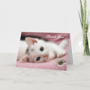 Cartão De Agradecimento Obrigado, Branca De Neve