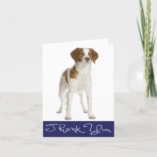 Cartão De Agradecimento Obrigado Brittany Spaniel Puppy Dog Card