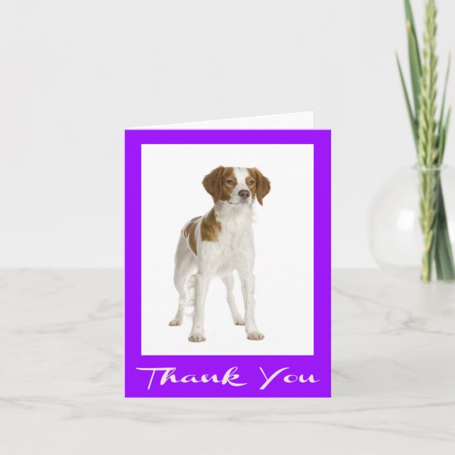 Cartão De Agradecimento Obrigado Brittany Spaniel Puppy Dog Card (Frente)