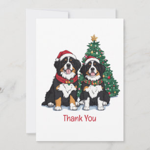 Cartão De Agradecimento Obrigado Cães de Montanha Berneses de Natal