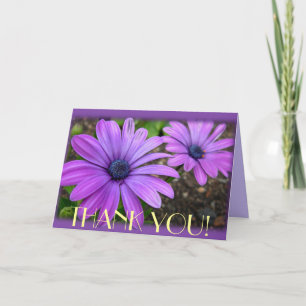 Cartão De Agradecimento Obrigado Cards Daisiers Flores Saudação Personal