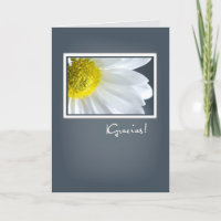 Obrigado, Daisy Espanhol