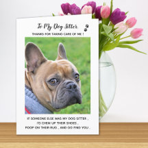 Obrigado de Fotografia Pet Care Pet Care de Cachor