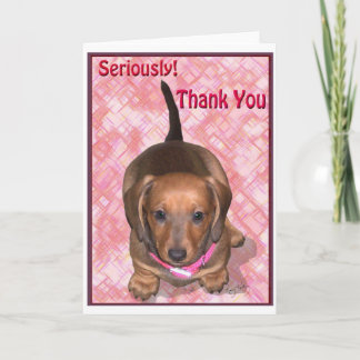Cartão De Agradecimento Obrigado de Um pequeno Dachshund Puppy