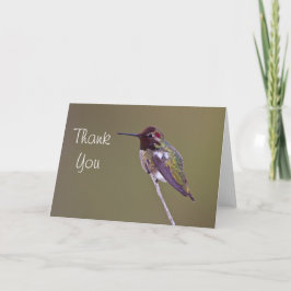 Cartão De Agradecimento Obrigado do colibri de Anna você