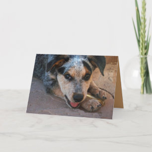 Cartão De Agradecimento Obrigado do Coração - Dog Lover