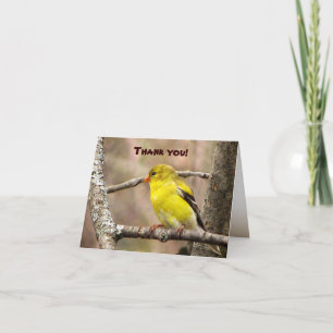 Cartão De Agradecimento Obrigado do Goldfinch você