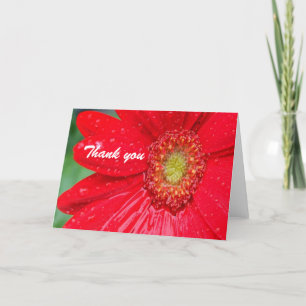 Cartão De Agradecimento Obrigado Flor Vermelha