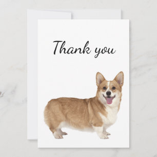Cartão De Agradecimento Obrigado Galsh Corgi Dog Pet Animal