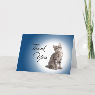 Cartão De Agradecimento Obrigado gatinho em azul escuro