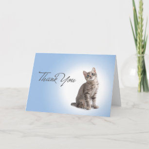 Cartão De Agradecimento Obrigado gatinho no azul