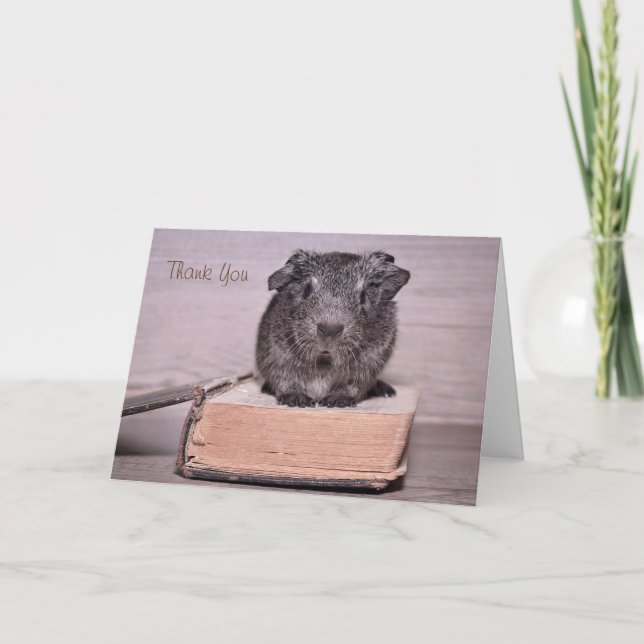 Cartão De Agradecimento Obrigado Guiné Pig Sat em um Livro (Frente)