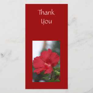 Cartão De Agradecimento Obrigado hibiscus vermelho