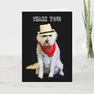 CARTÃO DE AGRADECIMENTO OBRIGADO - HUMOR - DOG/COWBOY HAT E SCARF