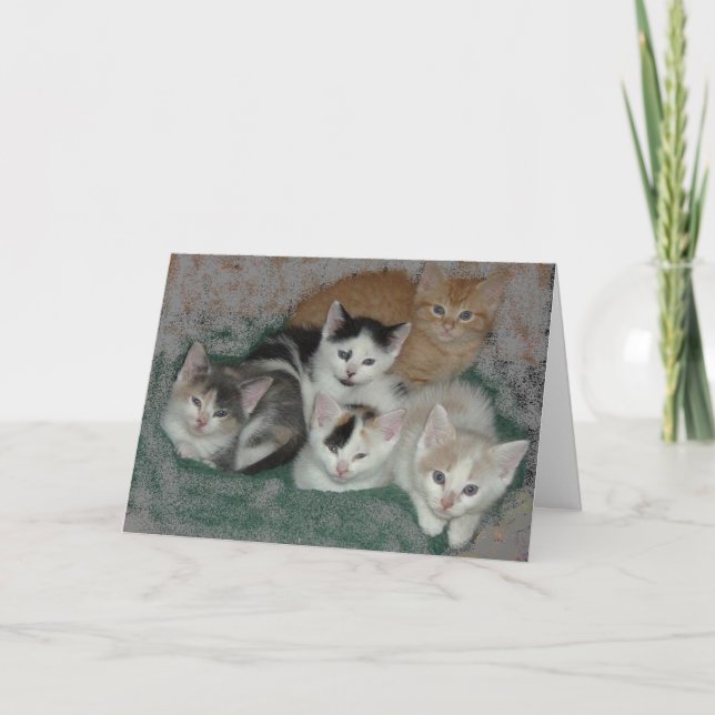 Cartão De Agradecimento Obrigado/Kittens (Frente)