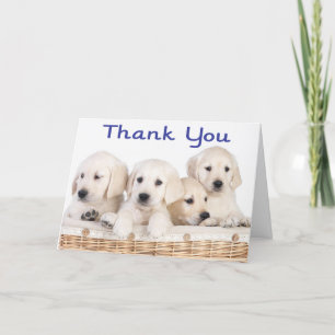 Cartão De Agradecimento Obrigado Labrador Retriever Puppy Dogs Card