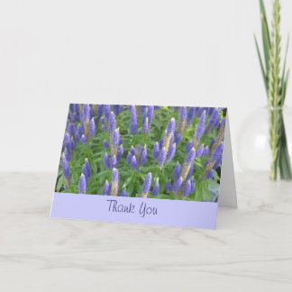 Cartão De Agradecimento Obrigado Lavanda