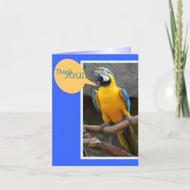 Cartão De Agradecimento Obrigado Nota do Papagaio (Frente)