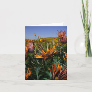 Cartão De Agradecimento Obrigado notar: Campo das flores