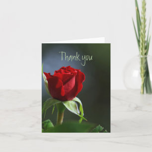 Cartão De Agradecimento Obrigado Obrigado Jardim de Rosas Vermelhas Flor