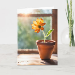 Cartão De Agradecimento Obrigado Orange Daisy