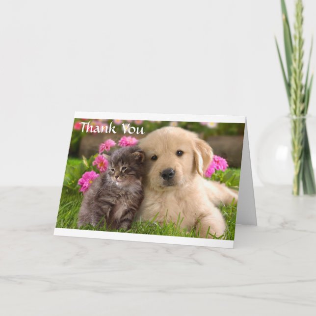Cartão De Agradecimento Obrigado Ouro Retriever Puppy & Kitten Card (Frente)