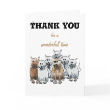 Obrigado para gatos maravilhosos de uns desenhos