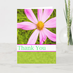Cartão De Agradecimento Obrigado Pela Flor De Cosmos Rosa