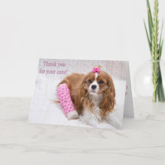 Cartão De Agradecimento Obrigado Pelo Seu Cuidado King Charles Spaniel