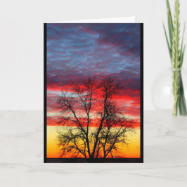 Cartão De Agradecimento Obrigado Pelo Seu Serviço Ao Nosso País