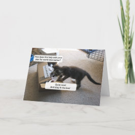 Cartão De Agradecimento Obrigado Pet Sitter Card