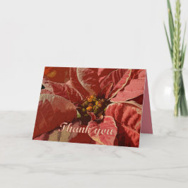 Cartão De Agradecimento Obrigado, Pink e Creme Poinsettias com Texto