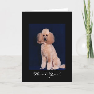 Cartão De Agradecimento Obrigado Poodle Card